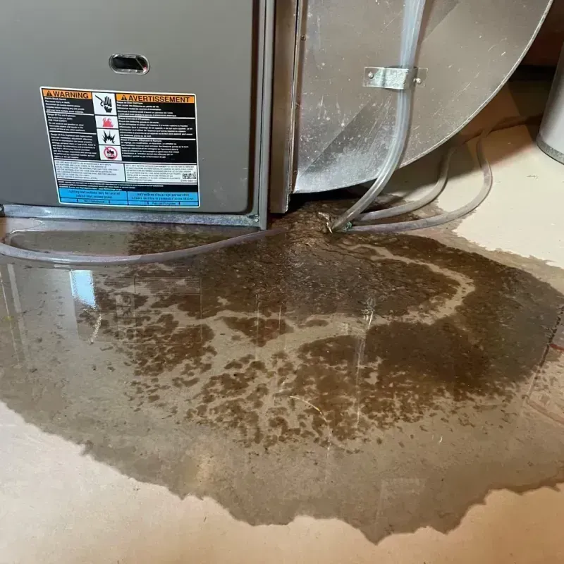 Appliance Leak Cleanup in Bloomfield, KY